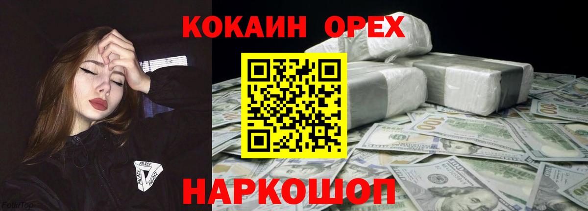 COCAIN Эквадор Богданович