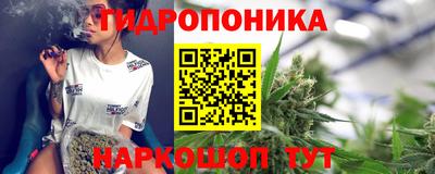 мдпв Протвино