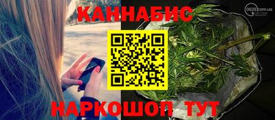 мдпв Протвино