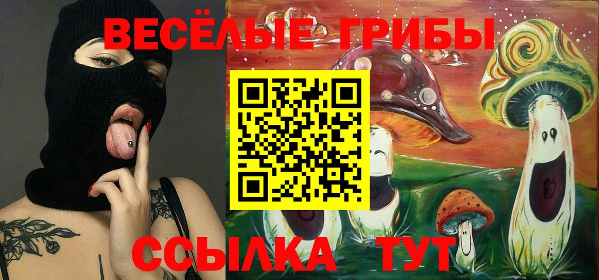 Галлюциногенные грибы Psilocybine cubensis Богданович