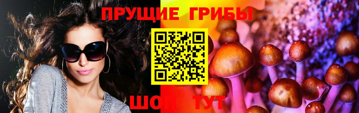 Богданович  Галлюциногенные грибы мицелий  Галлюциногенные грибы Psilocybe  Вход с VPN 